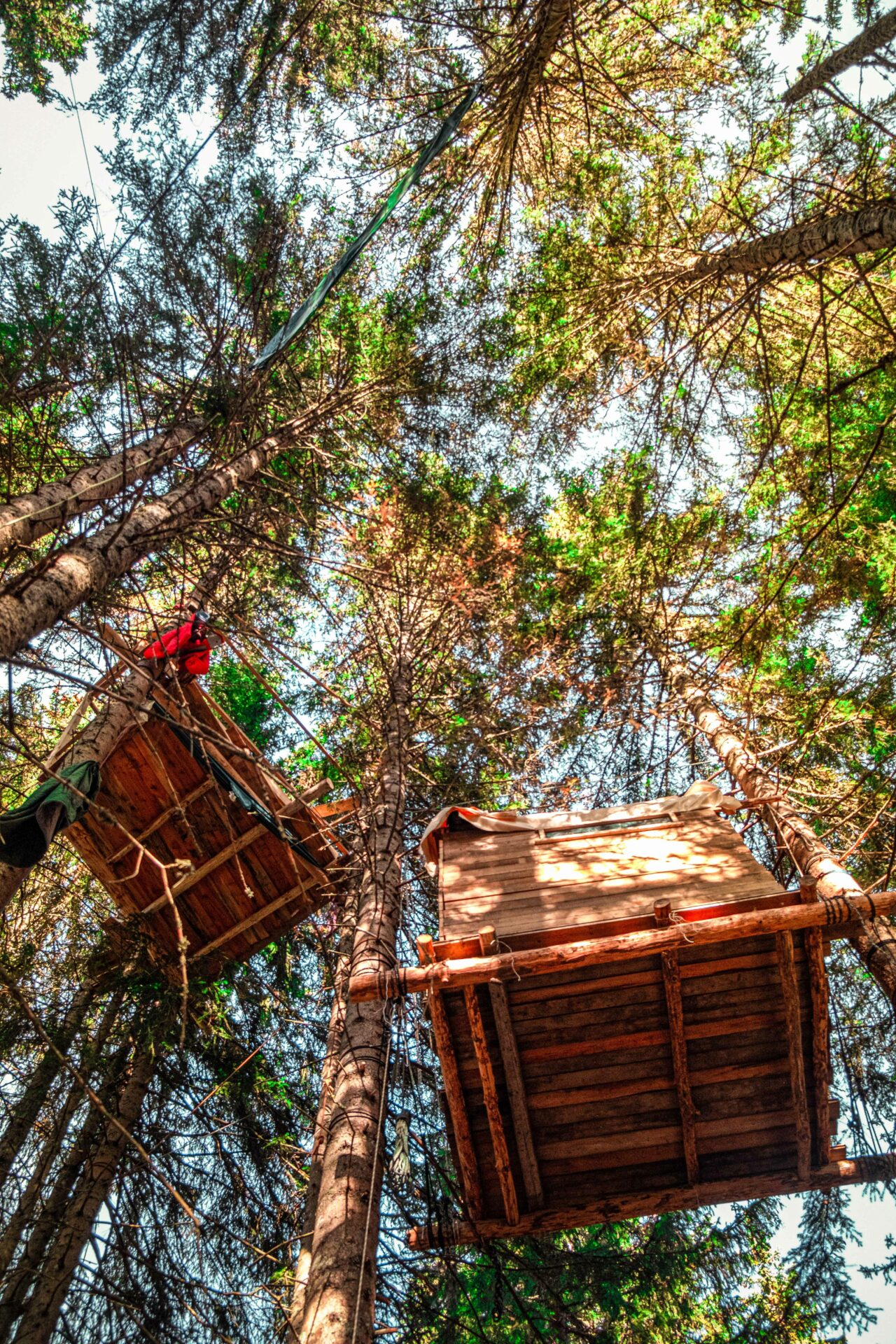 Résultats de la 1ère édition de notre concours de photographie étudiant !