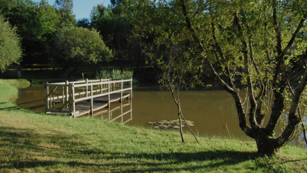 À la rencontre des sites ambassadeurs – Forêt de la Double