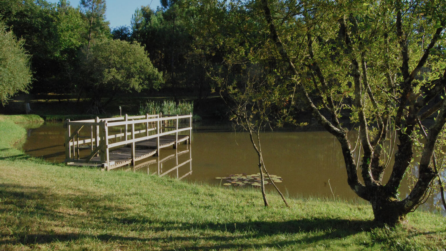 À la rencontre des sites ambassadeurs – Forêt de la Double