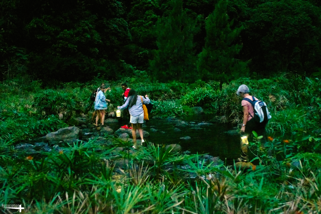 À la rencontre des sites ambassadeurs – Forêt de l&rsquo;étang de Saint-Paul