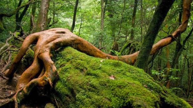 À la rencontre des sites ambassadeurs – Bois Nouveau