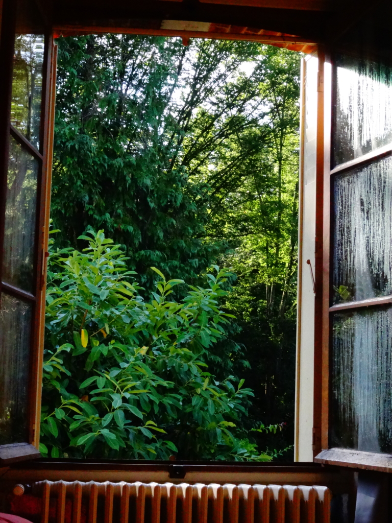 Retour sur le Relais Forestier, notre premier weekend de mobilisation citoyenne !