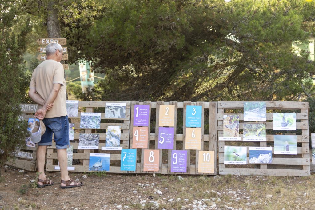 ©JulienPhotoPortLeucate