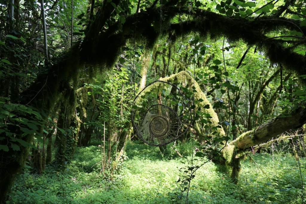 Les Nuits des Forêts en Bourgogne-Franche-Comté
