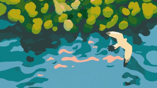 Archivé: Lison(s) la forêt au Bois des Bornes