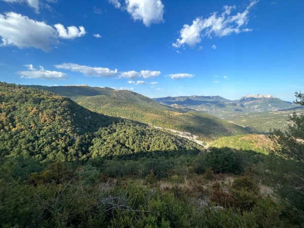 Archivé: Balade découverte et spectacles