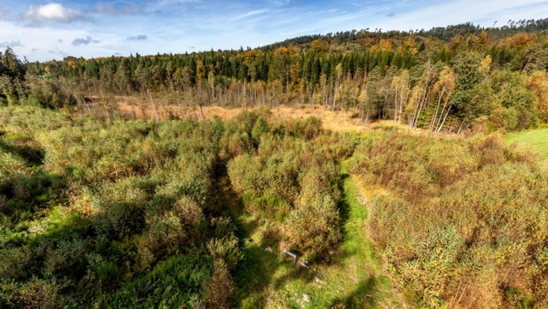 Archivé: Traces et indices des animaux forestiers
