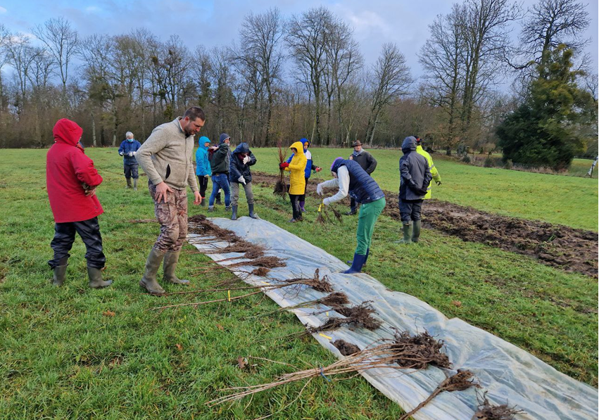 Chantier Wooding au domaine de Houécourt !