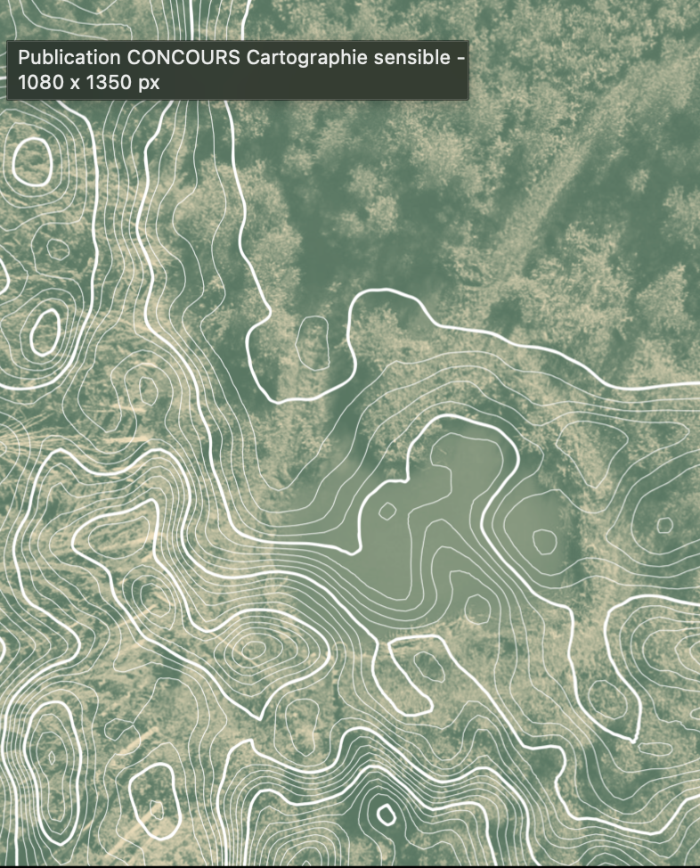 Concours de cartographie sensible – Cartographier la forêt