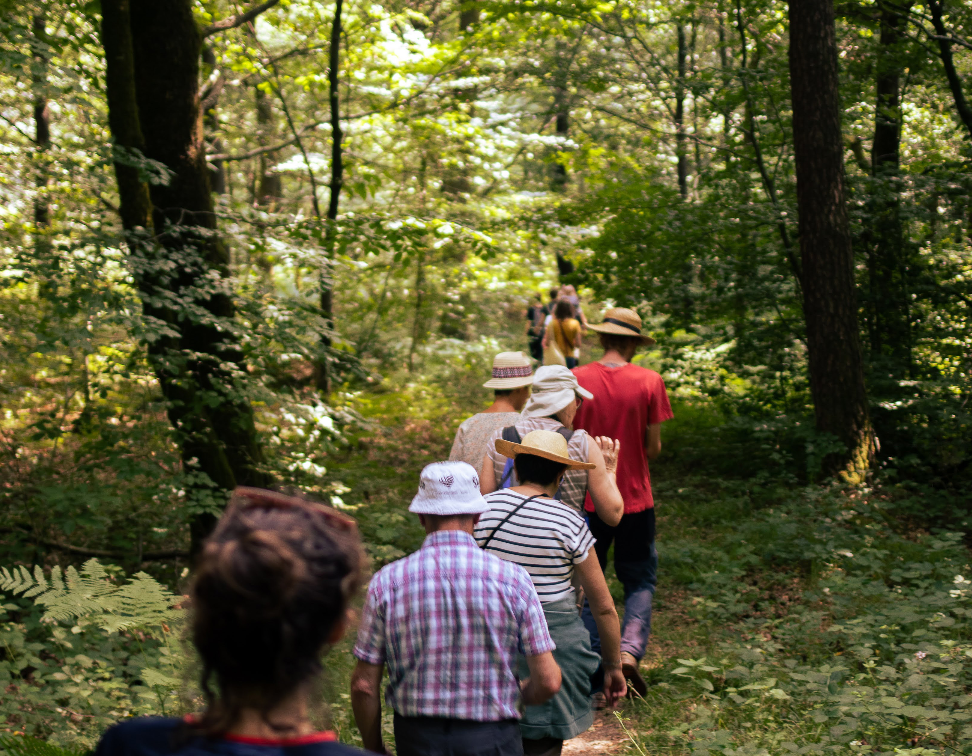 Les Nuits des Forêts 2025 en Normandie