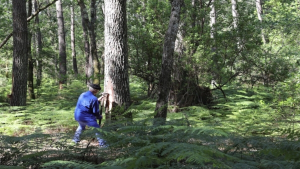 Balades de jour et de nuit, conférence et exposition
