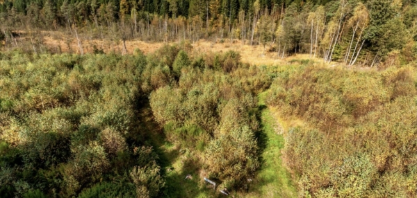 Archivé: Un samedi après-midi à la Tourbière Basse Saint-Jean en accès libre