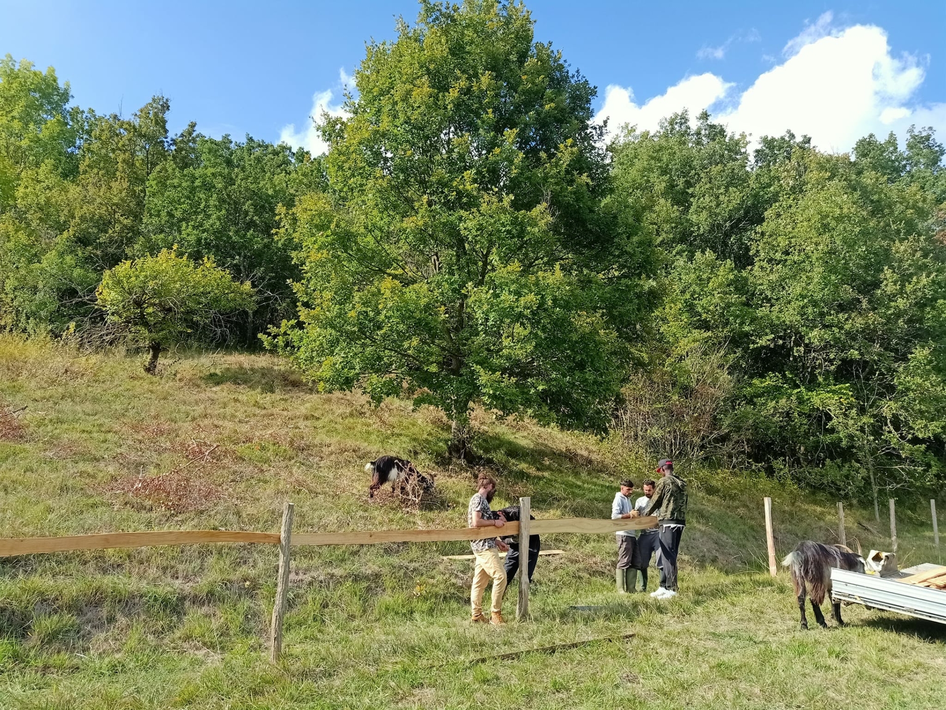 Chantiers participatifs au Centre Agro-Environnemental de Brassacou