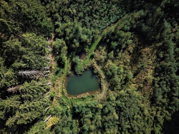 Archivé: 8 jours de festival en Forêt de Tiragoutte