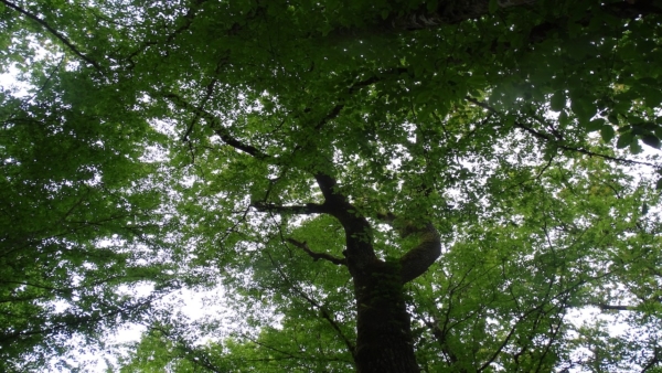 Archivé: (PROFESSIONNEL.LES) Table ronde et spectacle !