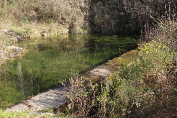 Archivé: Contes & animation « L&rsquo;eau c&rsquo;est la vie » et coulisses de radio