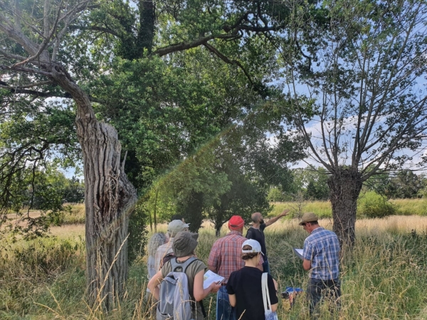 Archivé: Les Nuits des Forêts au Lieu-dit Les Hauts Boeufs