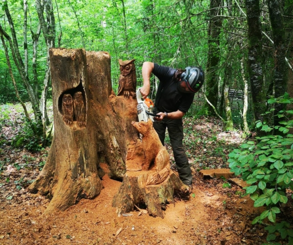 Archivé: À la découverte du Bois Henrys