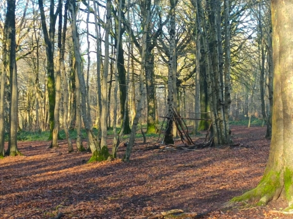 Archivé: Une journée immersive et sensorielle au cœur de la forêt domaniale de Guînes