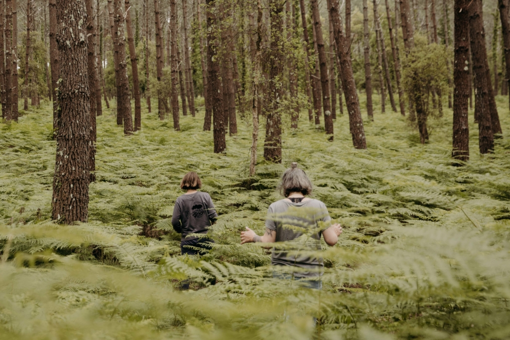 Les Nuits des Forêts 2025 en Nouvelle-Aquitaine