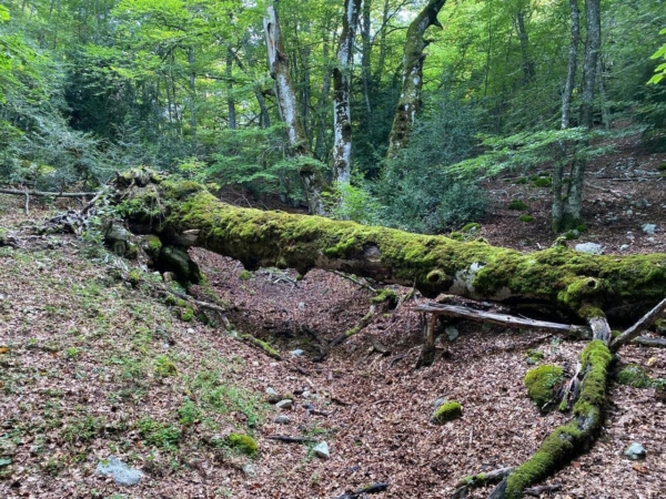 Archivé: Randonnée & bal folk