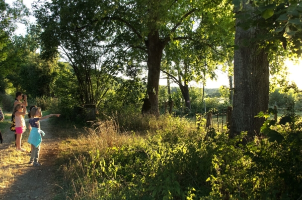 Archivé: Les sentiers de la belette