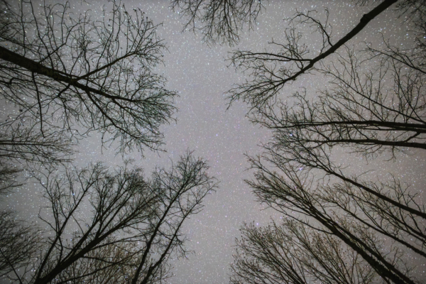 Archivé: Le 8 juin à Brassacou : grimpe d&rsquo;arbres, parcours sensoriel, conférences et pédagogie