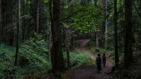 Archivé: Parcours forestier et immersif « Faire terre »