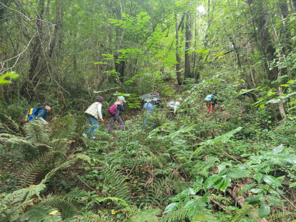 Archivé: Le 11 juin à Brassacou : Découvrir Brassacou par les contes et légendes & WOODING