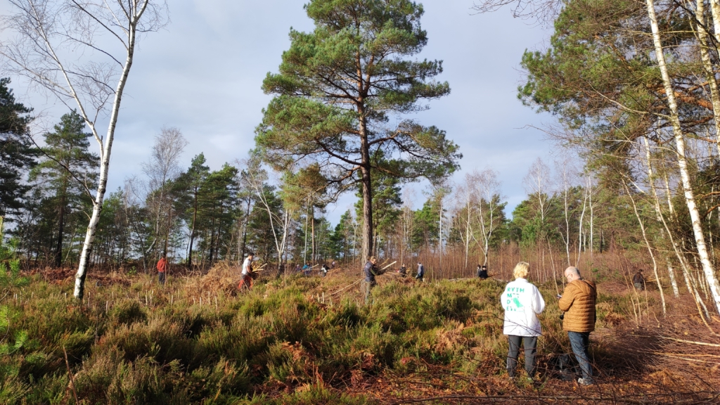 Chantier Wooding à Rochefort-en-Yvelines