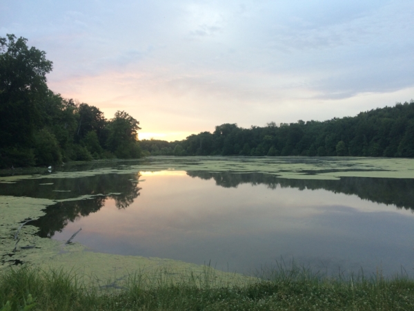 Archivé: À la découverte de la forêt de Chantilly