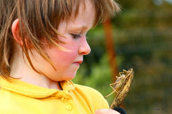 Archivé: Découverte de la faune locale, du milieu naturel fascinant de la forêt et sa biodiversité extraordinaire