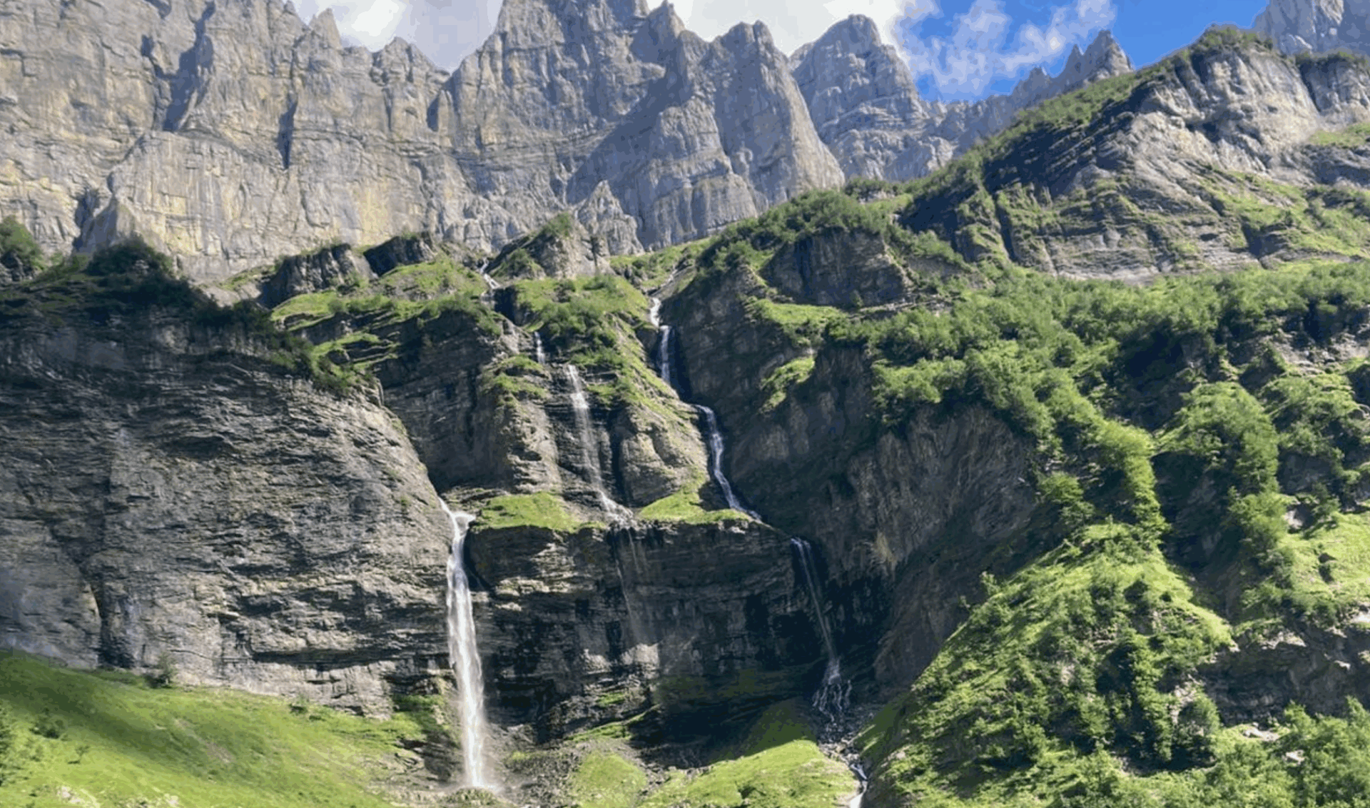 La Forêt et l&rsquo;Eau, architectes paysagers et réservoirs de biodiversité