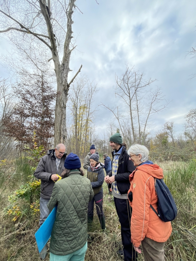 Chantier du 12 novembre 2024, Chantilly