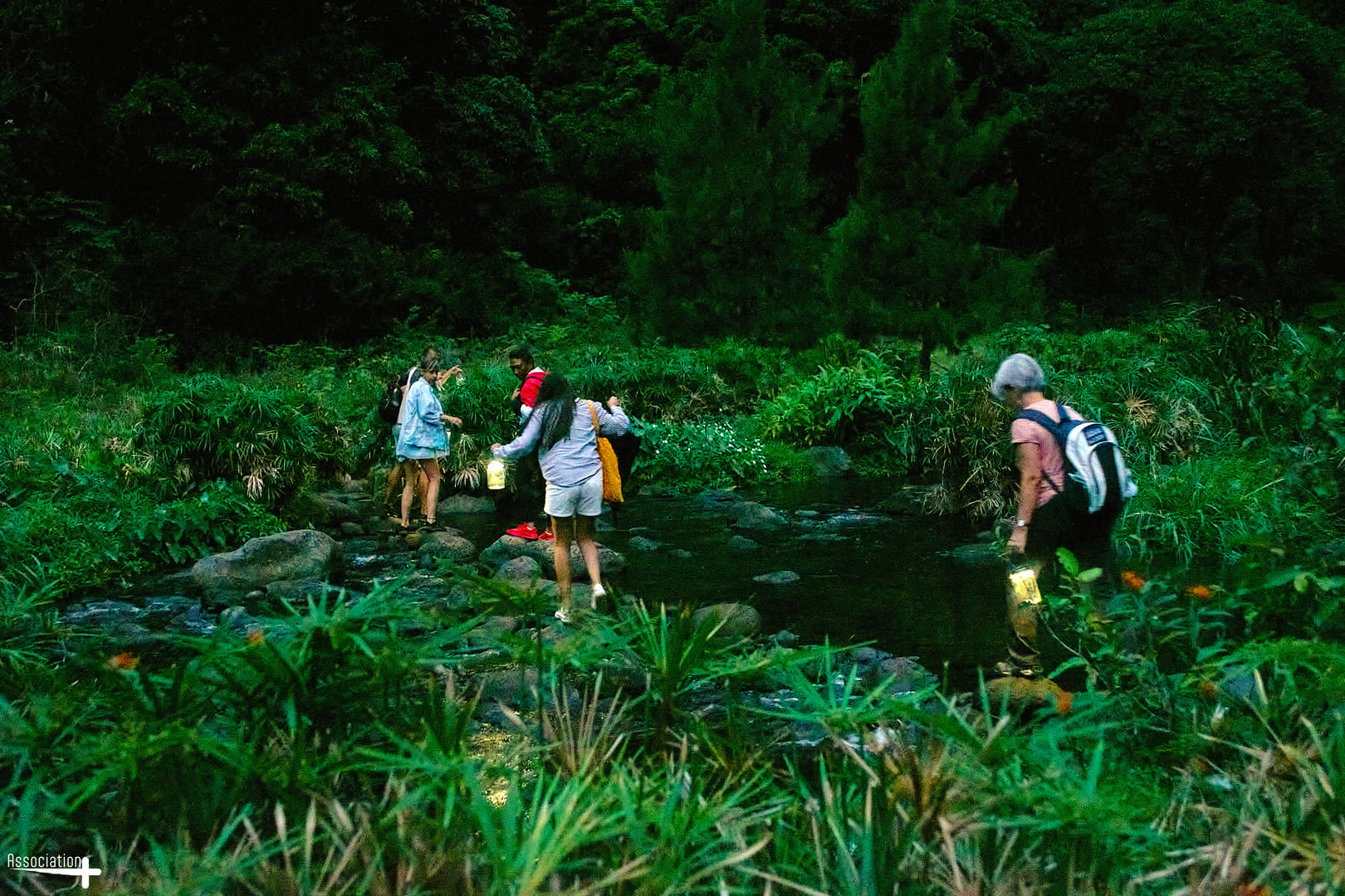 Les Nuits des Forêts 2025 en Outre-Mer