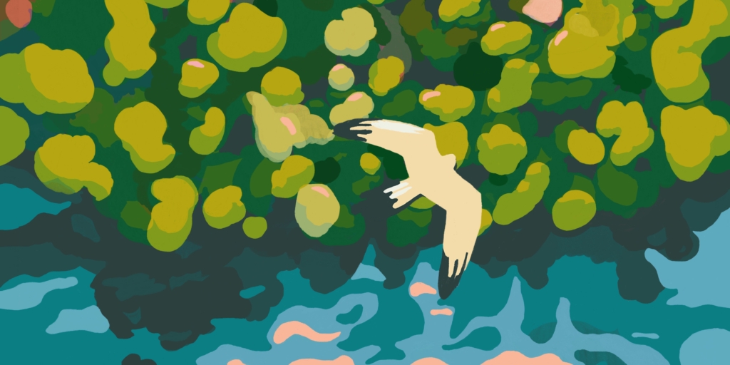 Chantier Wooding au Bois Lamboust !