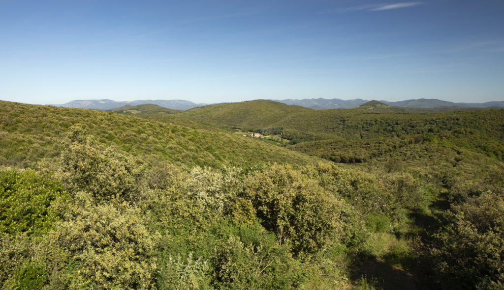Les Nuits des Forêts 2025 en Occitanie
