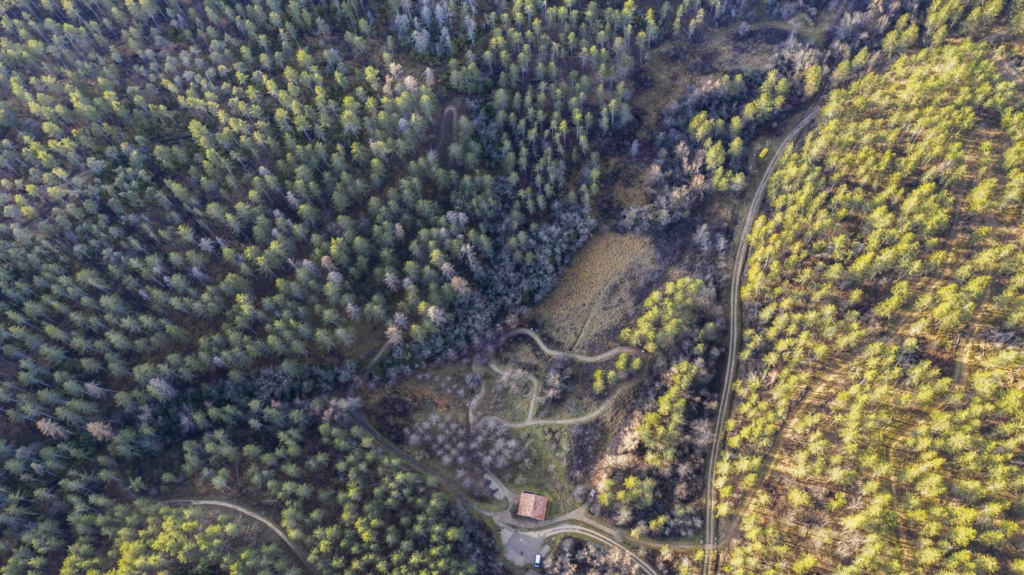 Les Nuits des Forêts 2025 en Provence-Alpes-Côtes d&rsquo;Azur