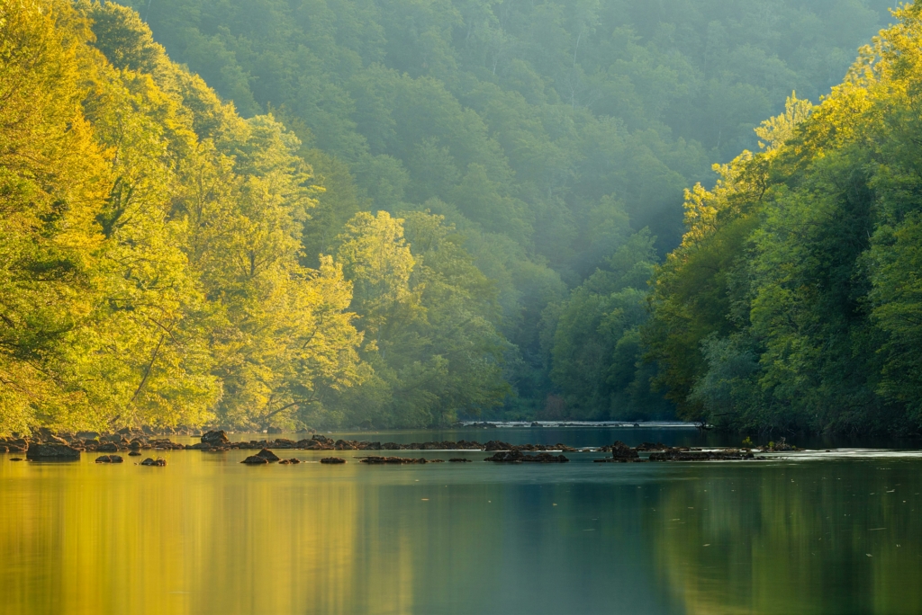 Une symbiose à préserver pour dessiner un avenir désirable