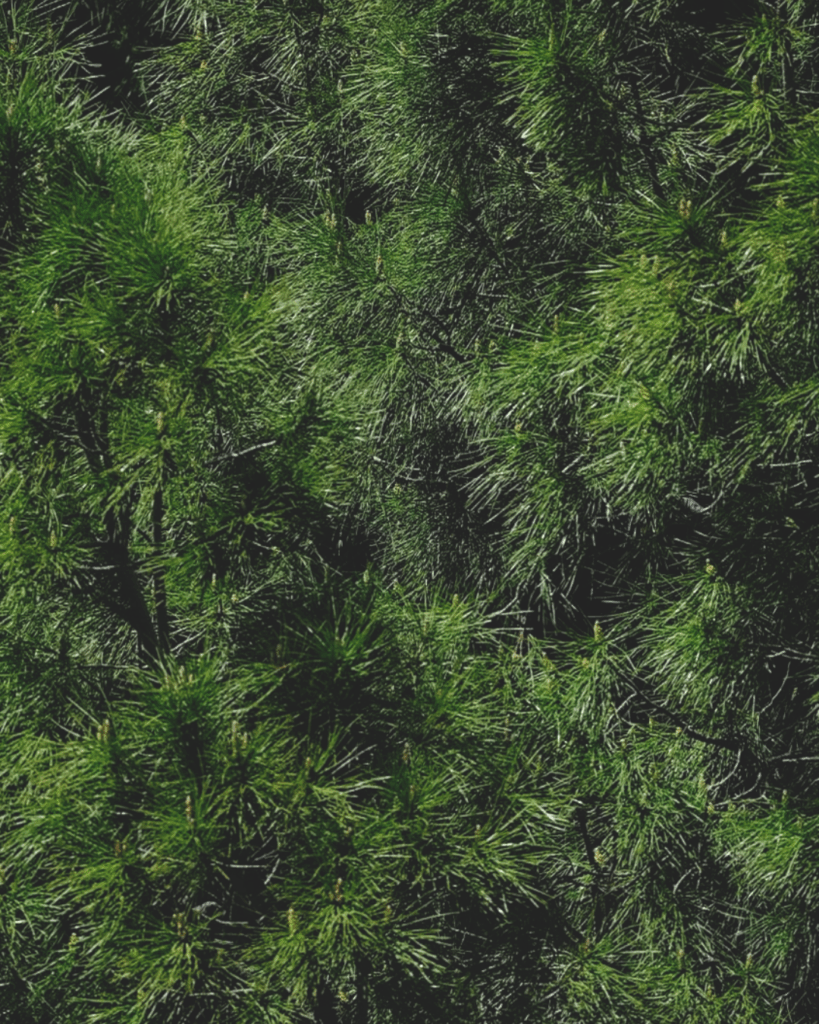 Témoignages de Tiragoutte